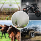 Multifunctional Annular High Pressure Atomizing Stainless Steel Sprayer
