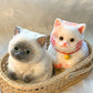 🎁Easter Promotion😻Cute and soft cat-shaped toy💕(relieves stress)
