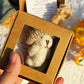 💖🎁Handmade Mini Plush Teddy Bear in Box🧸
