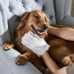 ✨️Hot Sale 49% OFF✨️Deodorizing Pet Glove Wipes🐶