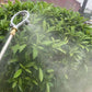 Multifunctional Annular High Pressure Atomizing Stainless Steel Sprayer