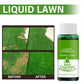🌱GREEN GRASS & PEST CONTROL LAWN SPRAY