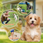 Summer Pet Chest Harness with Matching Adorable Hat