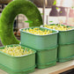 Stackable Bean Sprout Growing Box（50% OFF）