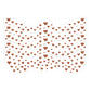 5PCS Bronze Freckle Makeup Stickers
