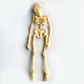 Vintage Skeleton Fridge Magnet