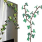 3D Printed Ivy Leaf Refrigerator Stickers