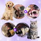 Pet Toothbrush Pen for Cleaning