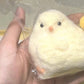 Stress Releasing Little Chick Squeeze Toy